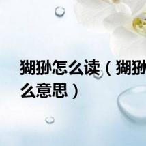 猢狲怎么读（猢狲是什么意思）