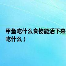 甲鱼吃什么食物能活下来(甲鱼吃什么)