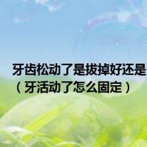 牙齿松动了是拔掉好还是留着好(牙活动了怎么固定)