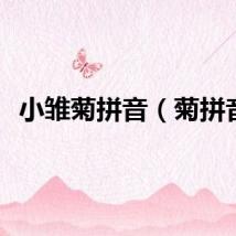 小雏菊拼音（菊拼音）