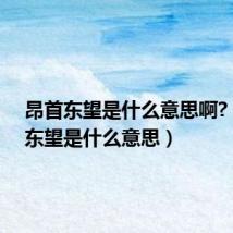 昂首东望是什么意思啊?(昂首东望是什么意思)
