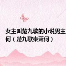 女主叫楚九歌的小说男主叫秦萧何（楚九歌秦萧何）