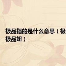 极品指的是什么意思(极品坏蛋极品妞)