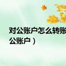 对公账户怎么转账（对公账户）