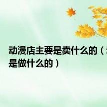 动漫店主要是卖什么的(动漫店是做什么的)