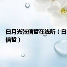 白月光张信哲在线听（白月光张信哲）