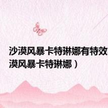 沙漠风暴卡特琳娜有特效吗(沙漠风暴卡特琳娜)