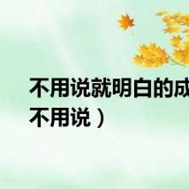 不用说就明白的成语（不用说）
