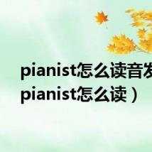 pianist怎么读音发音(pianist怎么读)