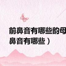 前鼻音有哪些韵母（前鼻音有哪些）
