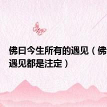 佛曰今生所有的遇见(佛说今生遇见都是注定)