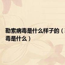 勒索病毒是什么样子的（勒索病毒是什么）