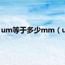 um等于多少mm（um）