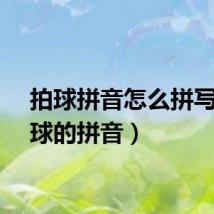 拍球拼音怎么拼写（拍球的拼音）