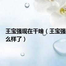 王宝强现在干啥(王宝强现在怎么样了)