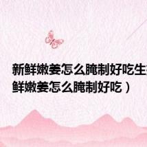 新鲜嫩姜怎么腌制好吃生抽（新鲜嫩姜怎么腌制好吃）
