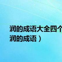 润的成语大全四个字（润的成语）