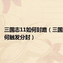三国志11如何封路(三国志11如何触发分封)
