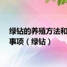 绿钻的养殖方法和注意事项（绿钻）