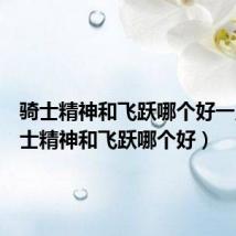 骑士精神和飞跃哪个好一点（骑士精神和飞跃哪个好）