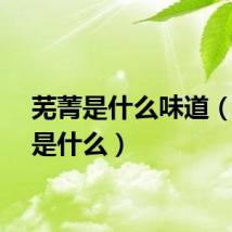 芜菁是什么味道（芜菁是什么）