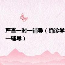 严查一对一辅导(确诊学生一对一辅导)