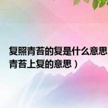 复照青苔的复是什么意思(复照青苔上复的意思)