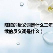 陆续的反义词是什么三年级(陆续的反义词是什么)