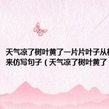 天气凉了树叶黄了一片片叶子从树上落下来仿写句子(天气凉了树叶黄了)
