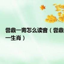 尝鼎一脔怎么读音(尝鼎一脔打一生肖)