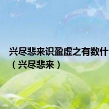 兴尽悲来识盈虚之有数什么意思(兴尽悲来)