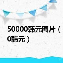 50000韩元图片(50000韩元)