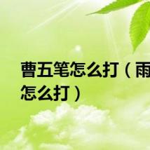 曹五笔怎么打（雨五笔怎么打）