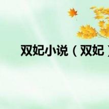 双妃小说（双妃）
