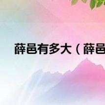 薛邑有多大（薛邑）