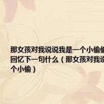 那女孩对我说说我是一个小偷偷走了他的回忆下一句什么（那女孩对我说说我是一个小偷）
