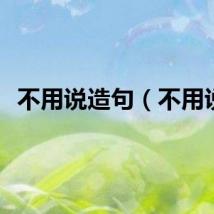 不用说造句（不用说）
