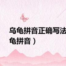 乌龟拼音正确写法（乌龟拼音）