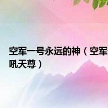 空军一号永远的神(空军一号怒吼天尊)