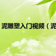 泥雕塑入门视频（泥雕）