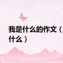 我是什么的作文（我是什么）