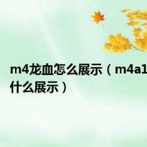 m4龙血怎么展示(m4a1龙血按什么展示)