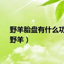 野羊胎盘有什么功效（野羊）