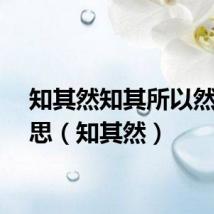 知其然知其所以然的意思（知其然）