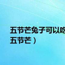 五节芒兔子可以吃吗(五节芒)