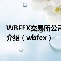 WBFEX交易所公司官方介绍(wbfex)
