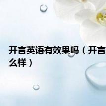开言英语有效果吗（开言英语怎么样）