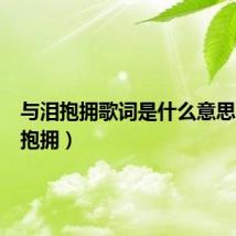 与泪抱拥歌词是什么意思(与泪抱拥)