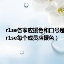 r1se各家应援色和口号是什么(r1se每个成员应援色)