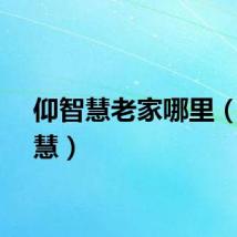 仰智慧老家哪里（仰智慧）